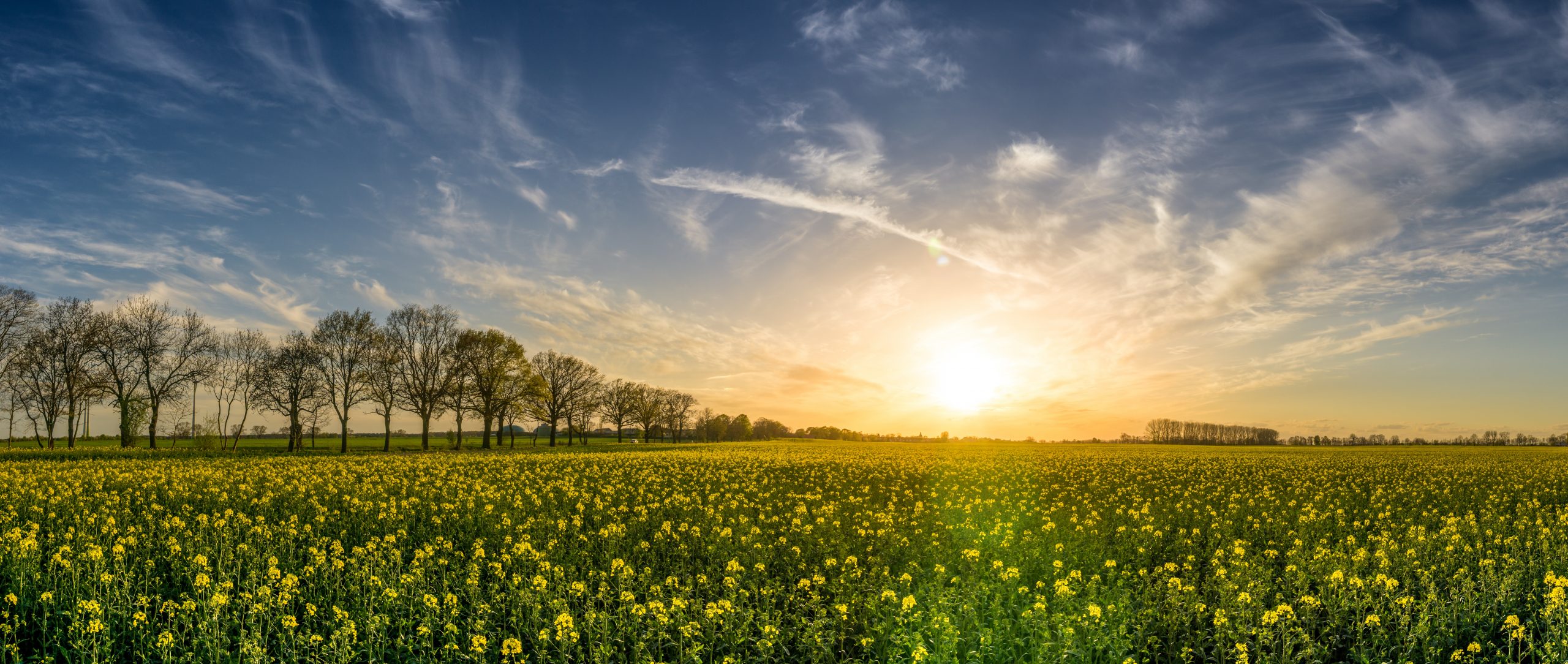 Klimapartner werden